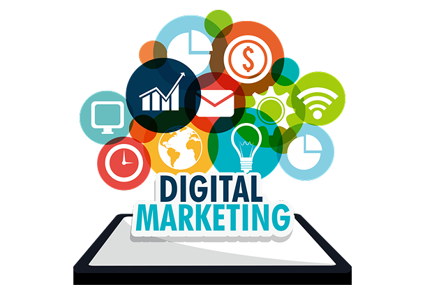 California Brands with High-Impact Digital Strategy